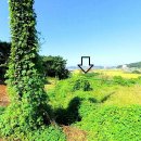 별립산농장 이미지