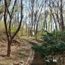 향기원 풍차 | 은행식물원 탐방 후기 /성남데이트코스 추천