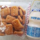 센스위치by 벌자맘