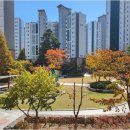 서희스타공인중개사사무소 | 호매실역서희스타힐스에서 내 집 마련의 모든 것을: 서희코뿔소 공인중개사사무소와 함께!