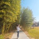 풍자농원 이미지