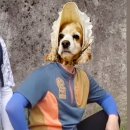 한사랑펫 이미지