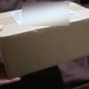 [블루투스 마우스] ‘에이포인트 무소음 블루투스 충전 마우스’ 후기