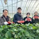 소통농장 이미지