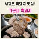 기운네흑돼지 이미지