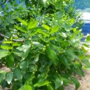 우리농원 이미지