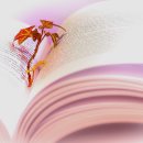 영강천변 파크골프장 | 영강천변파크골프장 예약방법 근처 맛집 이용 시간 가격