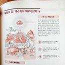 대승상사 이미지