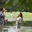 아이리스 이미지