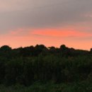 월정체육관 이미지