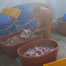 다희네민박 이미지