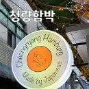 고고함박 | 청량리 숨은 맛집 청량함박 일본인이 만든 함박&amp;카레