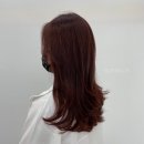 21세기헤어라인 - 구미시 | 21세기헤어라인