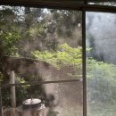 아갤러리 이미지