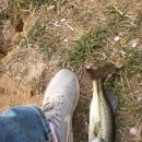 모차호텔 이미지