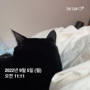 가원민박 | 9월 2주차 주간일기 - 나홀로 추석