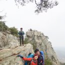 곡성-165 Daum카페