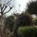 늘봄추어탕 이미지