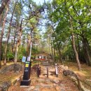 금산분소주차장 이미지