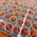 우현튼튼태권도장 이미지