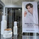 인셀덤 일산점 - 고양시 일산동구 | 인셀덤 화장품 더마톨로지 [부스터 / 세럼 / 크림] 내돈내산 솔직 후기 (광고 X)