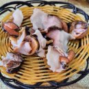 해녀천지할매 이미지