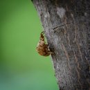 경안천습지생태공원 이미지