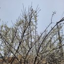 기차바람길공원 이미지