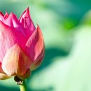 노래 부르는 영어 이미지