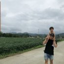 연천회관 이미지