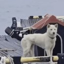 (주)백구