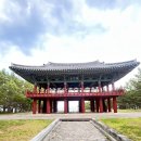 월송정 | 울진 가볼만한곳 월송정 후기｜소나무 숲길과 동해바다가 있는 힐링 명소