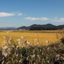 갈대정원 이미지