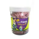 덴탈프렌즈 이미지