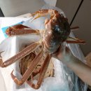 주식회사 유진식품