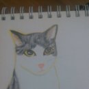 숙이언니 이미지