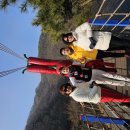 충남 청양 알프스마을 얼음분수축제와 천장호 출렁다리 힐링여행 이미지