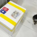 와락펫푸드 이미지