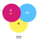 인간존재를 위하여 이미지