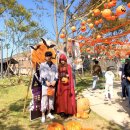 지율목장 | 고창 상하농원 할로윈 페스티벌 생생후기