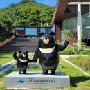 산내면 반선마을 네이버블로그