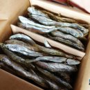 죽방클럽 이미지