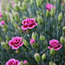 샬롬재가복지센터 이미지