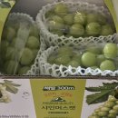 야밤술상 | 주수일기ㅣ임신 28주-31주차ㅣ태교여행, 만삭사진 촬영, 임산부 배 뭉침, 손목 통증 시작, 베이비하우스...