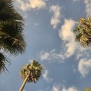 해비치 바람의 집 | 제주 해비치cc 회원제 코스 라운딩 후기