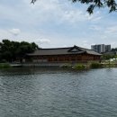 전주 덕진공원 연화정도서관 연꽃 야경 주차장 포토존 산책 후기