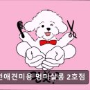 멍미살롱 네이버블로그