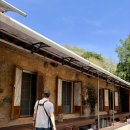 천둥옻오리 | 부산 기장 맛집 [황토향기] 🪿🐓