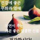 🌸&#34;할수없네..그냥 살 수밖에.&#34;🌸 이미지