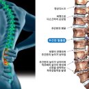 더웰스의원 이미지